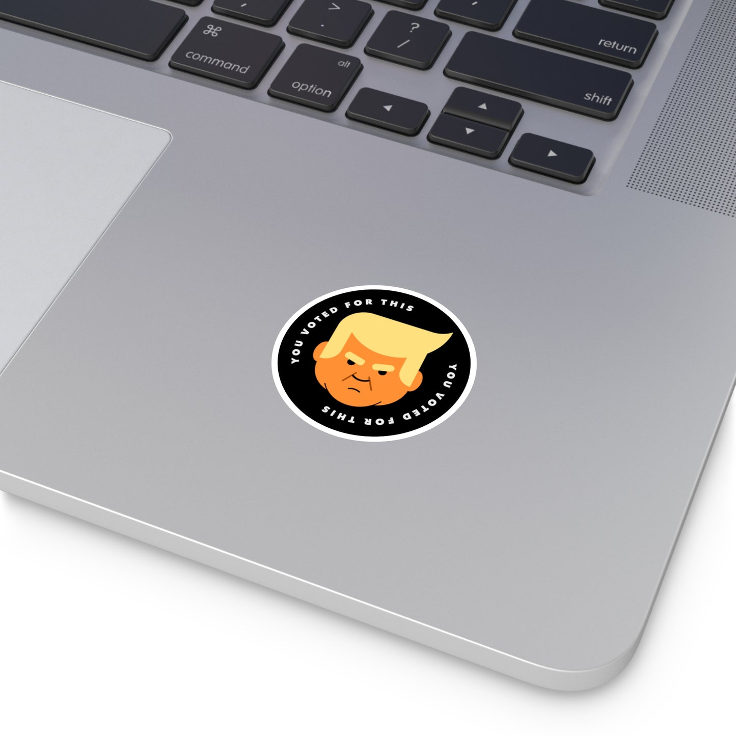 You Voted For This - Single Vinyl Stickers