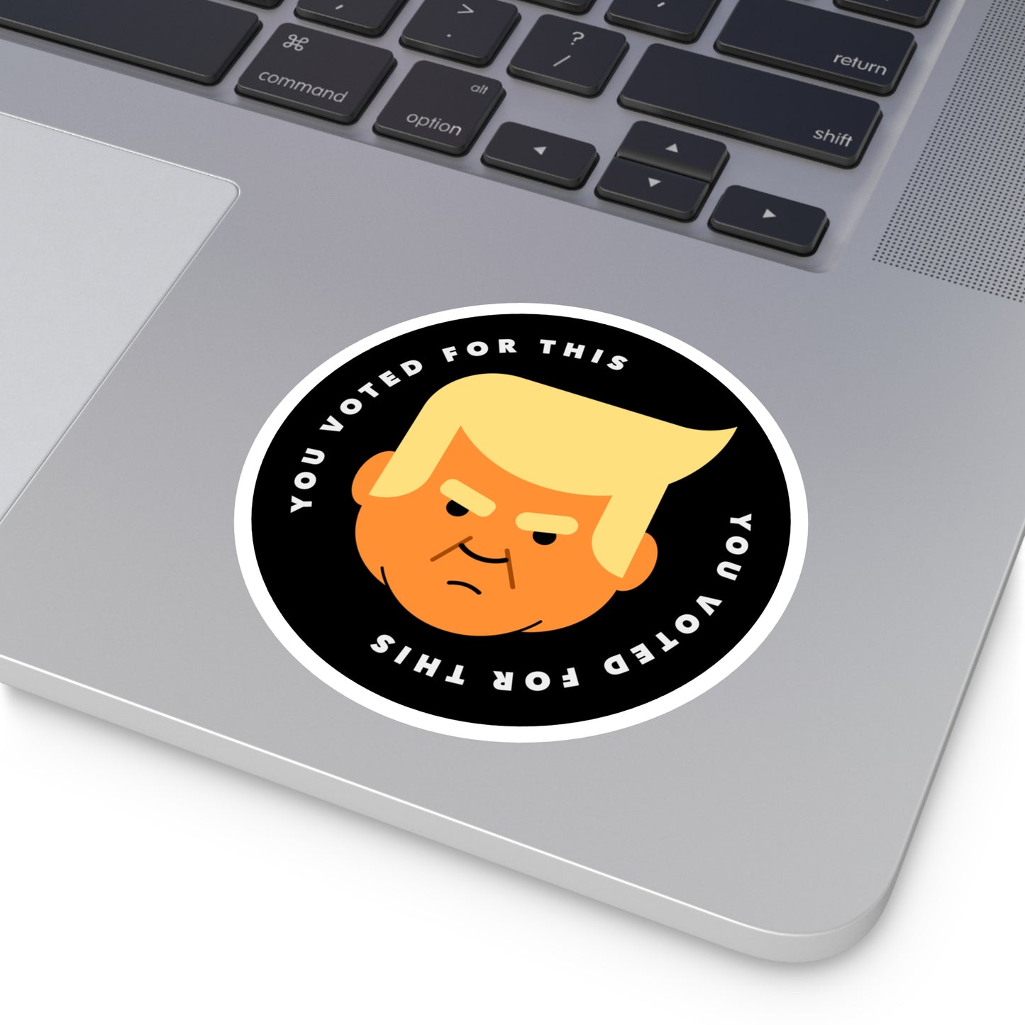 You Voted For This - Single Vinyl Stickers
