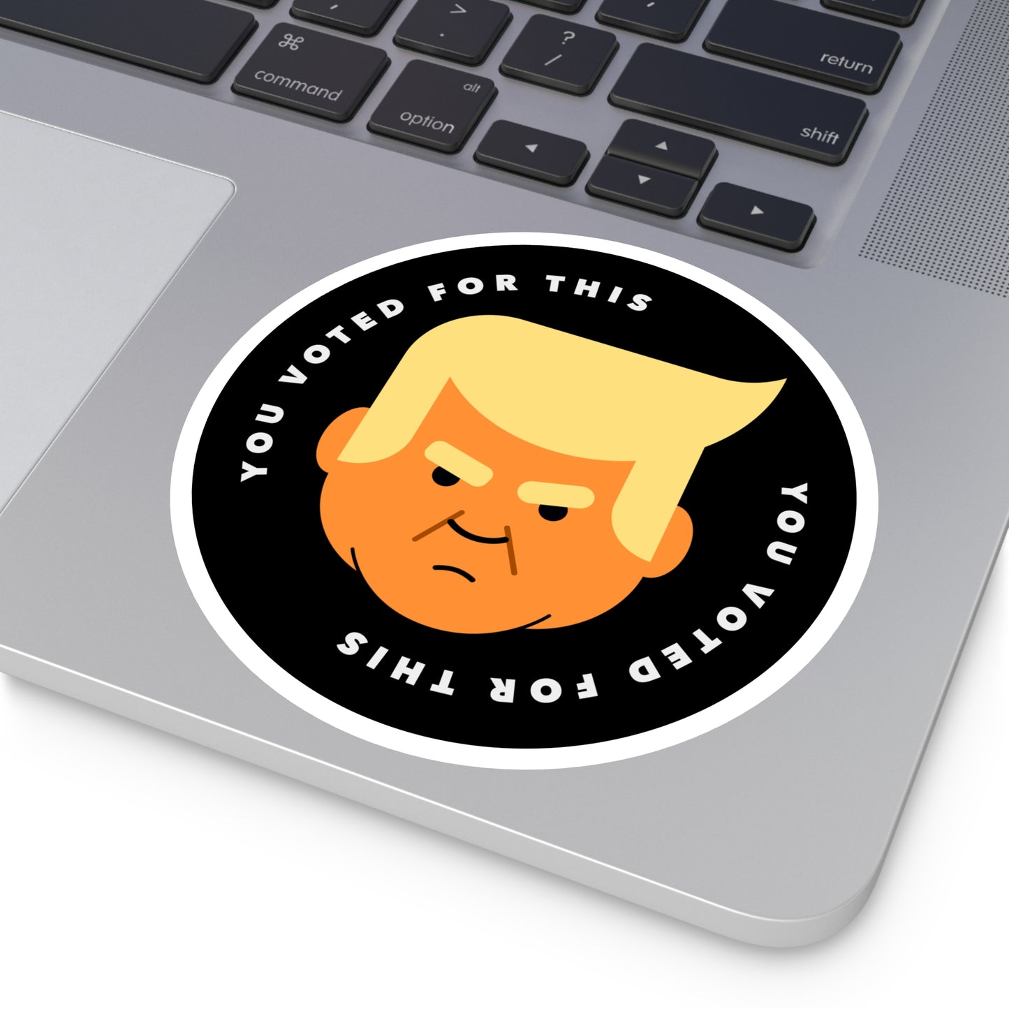 You Voted For This - Single Vinyl Stickers