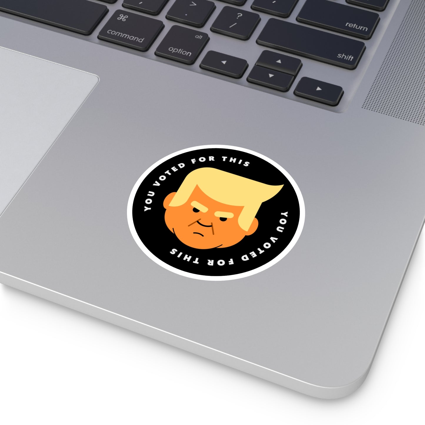 You Voted For This - Single Vinyl Stickers